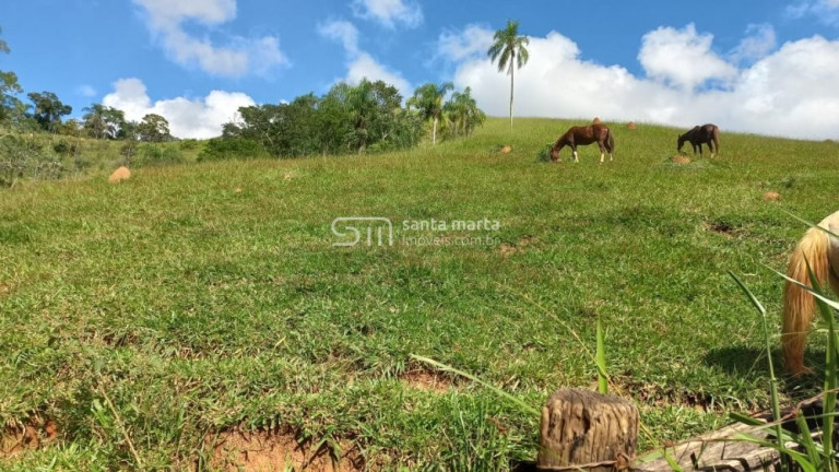 Imagem Imóvel com 2 Quartos à Venda, 266.000 m² em Branco - Lavrinhas Imagem Imóvel com 2 Quartos à Venda, 266.000 m² em Branco - Lavrinhas