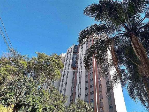 Imagem Apartamento com 3 Quartos à Venda, 95 m² em Luxemburgo - Belo Horizonte Imagem Apartamento com 3 Quartos à Venda, 95 m² em Luxemburgo - Belo Horizonte