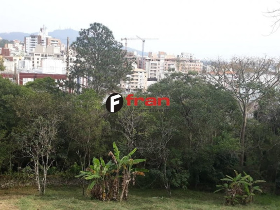 Imagem Imóvel à Venda, 44.952 m² em Córrego Grande - Florianópolis Imagem Imóvel à Venda, 44.952 m² em Córrego Grande - Florianópolis