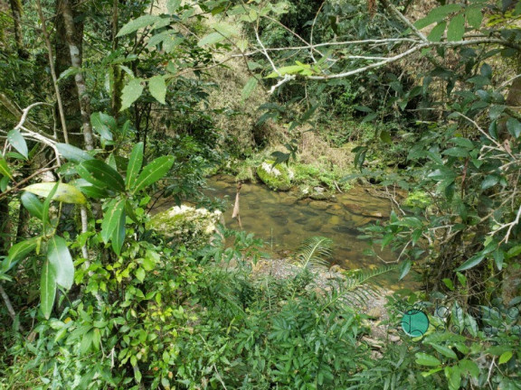 Imagem Imóvel à Venda, 120.000 m² em Zona Rural - Alfredo Wagner Imagem Imóvel à Venda, 120.000 m² em Zona Rural - Alfredo Wagner