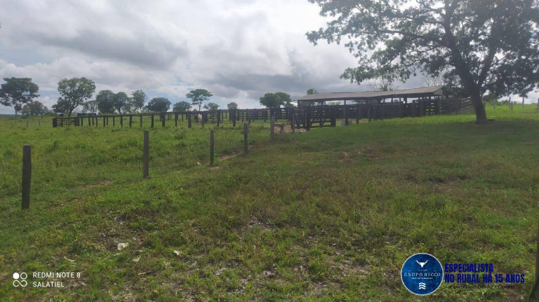 Imagem Fazenda à Venda, 814 m² em Zona Rural - Nova Xavantina Imagem Fazenda à Venda, 814 m² em Zona Rural - Nova Xavantina