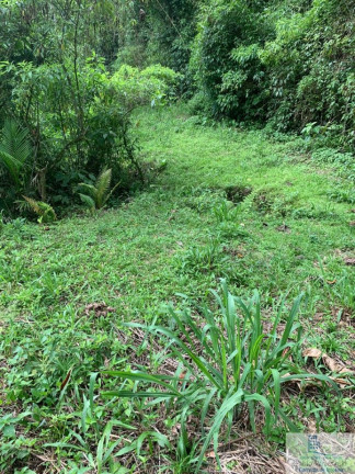 Imagem Chácara à Venda, 126.000 m² em Centro (rio Rosinha) - Rio Dos Cedros