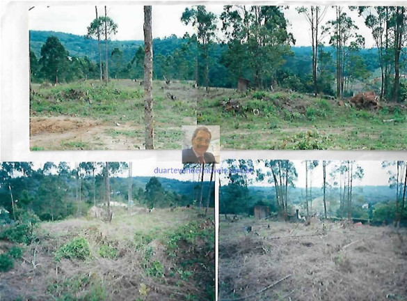 Imagem Terreno à Venda, 1.550 m² em Capuava - Embu Das Artes Imagem Terreno à Venda, 1.550 m² em Capuava - Embu Das Artes