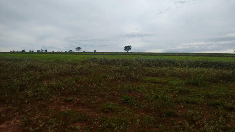 Imagem Chácara à Venda, 8 m² em Rural - Arandu