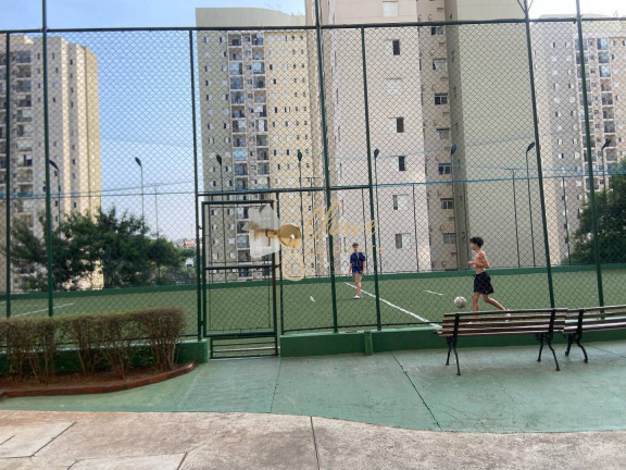 Imagem Apartamento com 2 Quartos à Venda, 51 m² em Umuarama - Osasco