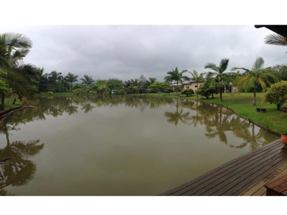 Imagem Chácara à Venda, 51.000 m² em Rio Do Meio - Camboriu