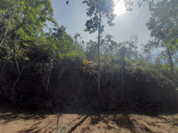 Imagem Terreno à Venda, 1.638 m² em Prata - Teresópolis Imagem Terreno à Venda, 1.638 m² em Prata - Teresópolis