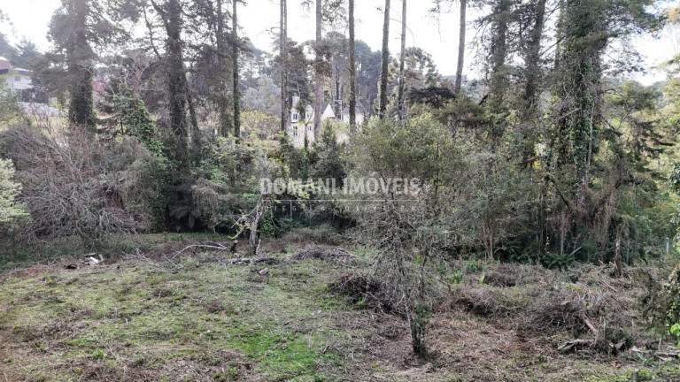 Imagem Terreno à Venda, 1.200 m² em Região De Capivari - Campos Do Jordão Imagem Terreno à Venda, 1.200 m² em Região De Capivari - Campos Do Jordão