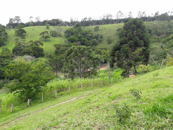 Imagem Chácara com 2 Quartos à Venda, 100 m² em Centro - Redenção Da Serra Imagem Chácara com 2 Quartos à Venda, 100 m² em Centro - Redenção Da Serra