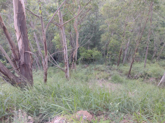 Imagem Terreno à Venda, 1.650 m² em Bairro Pau Arcado - Campo Limpo Paulista Imagem Terreno à Venda, 1.650 m² em Bairro Pau Arcado - Campo Limpo Paulista