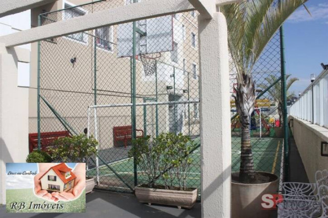 Imagem Apartamento com 3 Quartos à Venda, 60 m² em Taboão - São Bernardo Do Campo Imagem Apartamento com 3 Quartos à Venda, 60 m² em Taboão - São Bernardo Do Campo