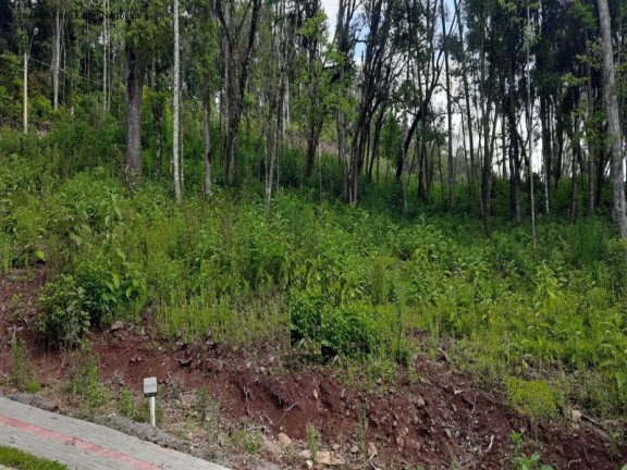 Terreno à Venda, 426 m² em Linha Imperial - Nova Petrópolis