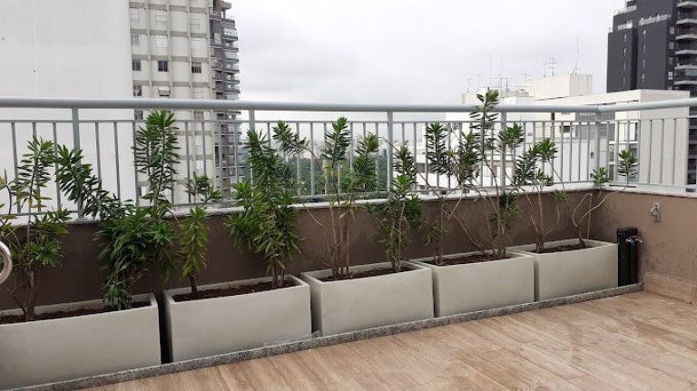 Imagem Kitnet com 1 Quarto à Venda, 31 m² em Pinheiros - São Paulo Imagem Kitnet com 1 Quarto à Venda, 31 m² em Pinheiros - São Paulo