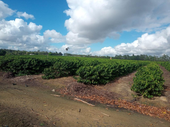Imagem Fazenda à Venda, 2.323.200 m² em Fazenda