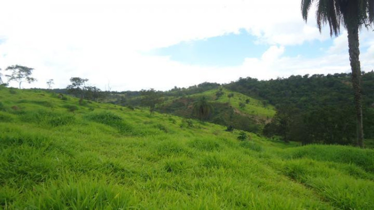 Imagem Fazenda à Venda, 60 m² em Azurita - Mateus Leme