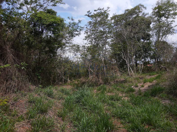 Imagem Fazenda à Venda, 145.200 m² em Zona Rural - Analândia Imagem Fazenda à Venda, 145.200 m² em Zona Rural - Analândia