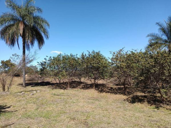 Imagem Terreno à Venda, em Jardim Santa Rosa - Artur Nogueira Imagem Terreno à Venda, em Jardim Santa Rosa - Artur Nogueira
