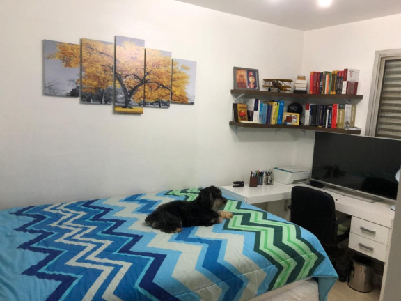 Imagem Apartamento com 1 Quarto à Venda, 38 m² em Cambuci - São Paulo