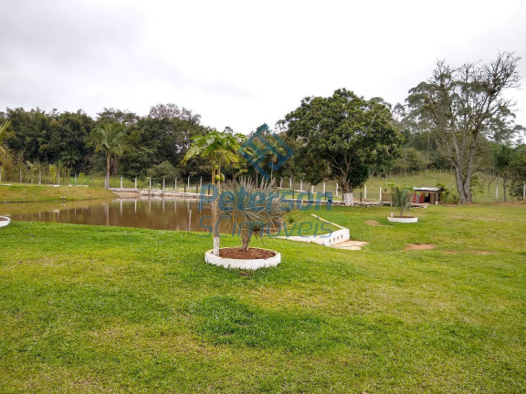 Imagem Chácara à Venda, 10.000 m² em Morro Alto - Balneário Piçarras
