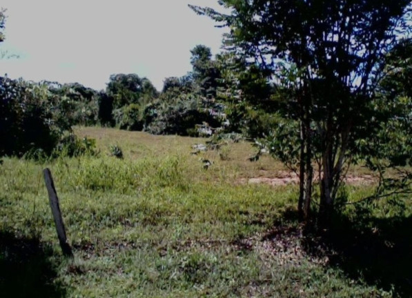Imagem Imóvel à Venda,  em Colinas Do Tocantins - Colinas Do Tocantins