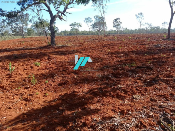 Imagem Fazenda à Venda, 25 m² em Zona Rural - Curvelo Imagem Fazenda à Venda, 25 m² em Zona Rural - Curvelo