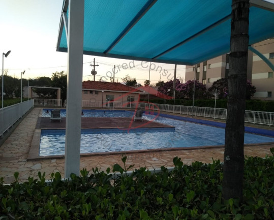 Imagem Imóvel com 2 Quartos à Venda, 49 m² em Jardim Calegari (nova Veneza) - Sumaré Imagem Imóvel com 2 Quartos à Venda, 49 m² em Jardim Calegari (nova Veneza) - Sumaré