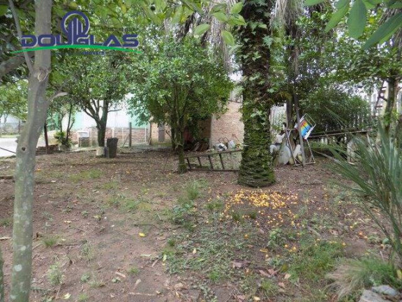 Imagem Casa com 4 Quartos à Venda, 3.258 m² em Estalagem  - Viamão