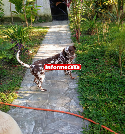 Imagem Imóvel com 2 Quartos à Venda, 100 m² em Tingua - Nova Iguaçu Imagem Imóvel com 2 Quartos à Venda, 100 m² em Tingua - Nova Iguaçu