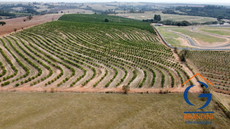 Imagem Imóvel com 3 Quartos à Venda, 12.000 m² em Centro - Mogi Guaçu Imagem Imóvel com 3 Quartos à Venda, 12.000 m² em Centro - Mogi Guaçu