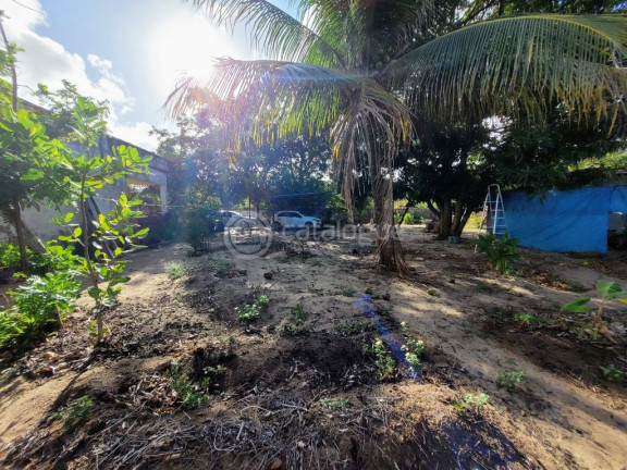 Imagem Casa com 1 Quarto à Venda, 843 m² em Parque Do Jiqui - Parnamirim Imagem Casa com 1 Quarto à Venda, 843 m² em Parque Do Jiqui - Parnamirim