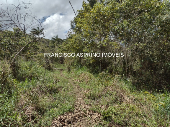 Imagem Imóvel à Venda, 2 m² em Serra Grande - Uruçuca Imagem Imóvel à Venda, 2 m² em Serra Grande - Uruçuca