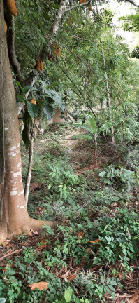 Imagem Terreno à Venda, 1.830 m² em Campo Grande - Rio De Janeiro Imagem Terreno à Venda, 1.830 m² em Campo Grande - Rio De Janeiro