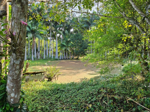 Imagem Casa com 4 Quartos à Venda, 320 m² em Pinheiros - Balneário Barra Do Sul Imagem Casa com 4 Quartos à Venda, 320 m² em Pinheiros - Balneário Barra Do Sul