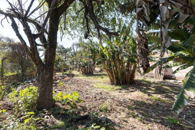 Imagem Terreno à Venda,  em Chapéu Do Sol - Porto Alegre