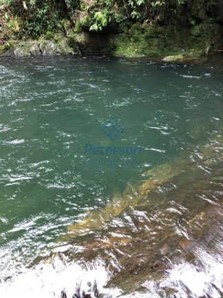Imagem Chácara com 3 Quartos à Venda, 1.200.000 m² em Lageado Alto - Guabiruba Imagem Chácara com 3 Quartos à Venda, 1.200.000 m² em Lageado Alto - Guabiruba
