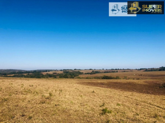 Imóvel com 1 Quarto à Venda, 2.880.000 m² em Centro - Herval