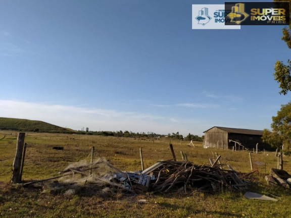 Imagem Imóvel com 2 Quartos à Venda, 60.000 m² em Quinta - Rio Grande