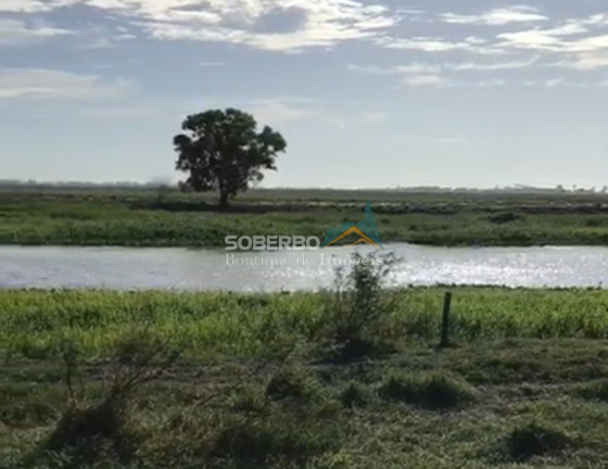 Imagem Imóvel à Venda, 4.444.270 m² em Ponta Da Lama - Campos Dos Goytacazes Imagem Imóvel à Venda, 4.444.270 m² em Ponta Da Lama - Campos Dos Goytacazes