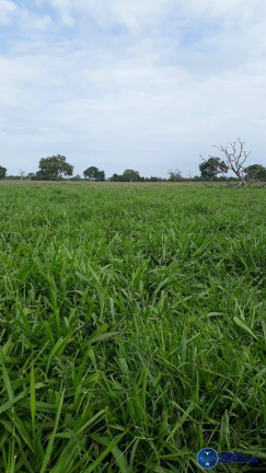 Imagem Fazenda à Venda, 31 m² em Zona Rural - Niquelândia Imagem Fazenda à Venda, 31 m² em Zona Rural - Niquelândia