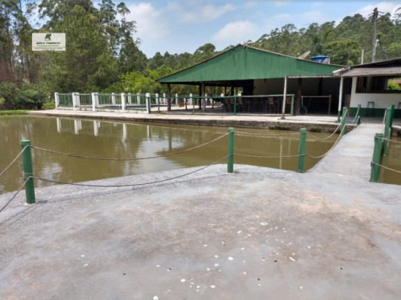 Imagem Chácara à Venda, 2.800 m² em Mailasqui - São Roque Imagem Chácara à Venda, 2.800 m² em Mailasqui - São Roque