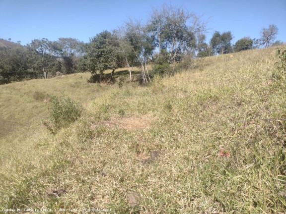 Imagem Chácara à Venda, 44.800 m² em Santo Antônio De Caldas - Caldas Imagem Chácara à Venda, 44.800 m² em Santo Antônio De Caldas - Caldas