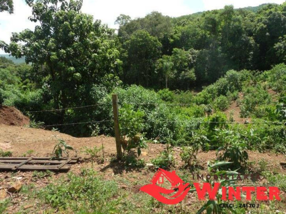 Imagem Terreno à Venda, 600 m² em Vila Nova - Vale Real Imagem Terreno à Venda, 600 m² em Vila Nova - Vale Real
