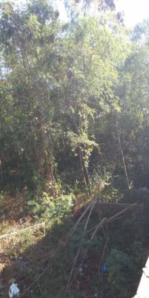 Imagem Imóvel à Venda, 5.909 m² em Campo Grande - Rio De Janeiro Imagem Imóvel à Venda, 5.909 m² em Campo Grande - Rio De Janeiro