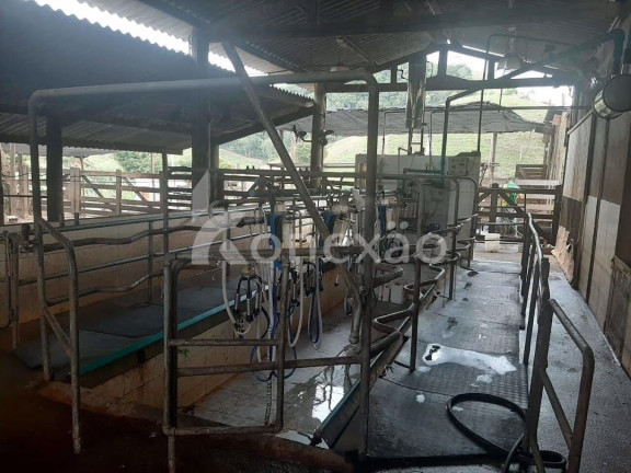 Imagem Fazenda à Venda, 90 m² em Itapeva - Paraibuna Imagem Fazenda à Venda, 90 m² em Itapeva - Paraibuna