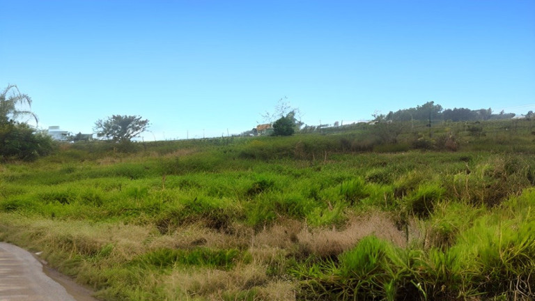 Imagem Fazenda à Venda, 600 m² em Terre De Areia - Terra De Areia