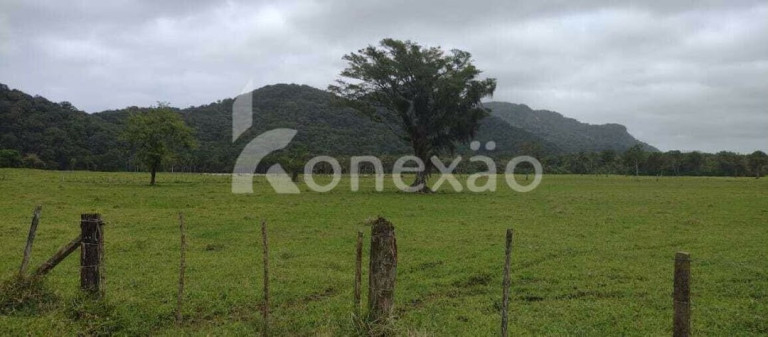 Imagem Fazenda à Venda, 90 m² em Braço Grande - Miracatu Imagem Fazenda à Venda, 90 m² em Braço Grande - Miracatu