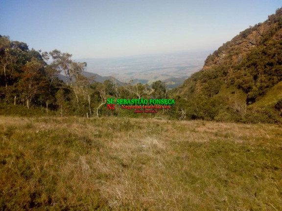 Imagem Chácara à Venda, 11 m² em Centro - Piquete Imagem Chácara à Venda, 11 m² em Centro - Piquete