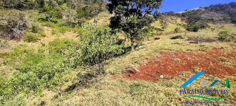 Imagem Chácara à Venda, 20 m² em Centro - Paraisópolis