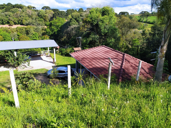 Imagem Imóvel com 3 Quartos à Venda, 27.000 m² em Centro - Contenda Imagem Imóvel com 3 Quartos à Venda, 27.000 m² em Centro - Contenda