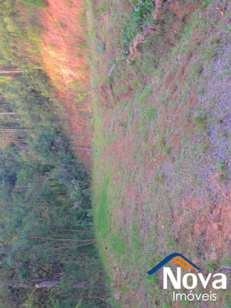Imagem Imóvel à Venda, em Linha Araripe - Nova Petrópolis Imagem Imóvel à Venda, em Linha Araripe - Nova Petrópolis